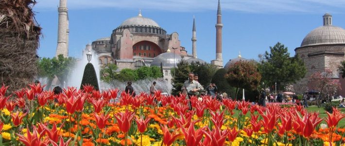 Tour Turki – Festival Tulip